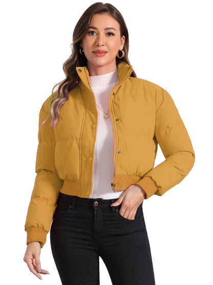 Effortless Bomber Jacket for Women with Stand Collar Zip Front Ribbed Cuff Style